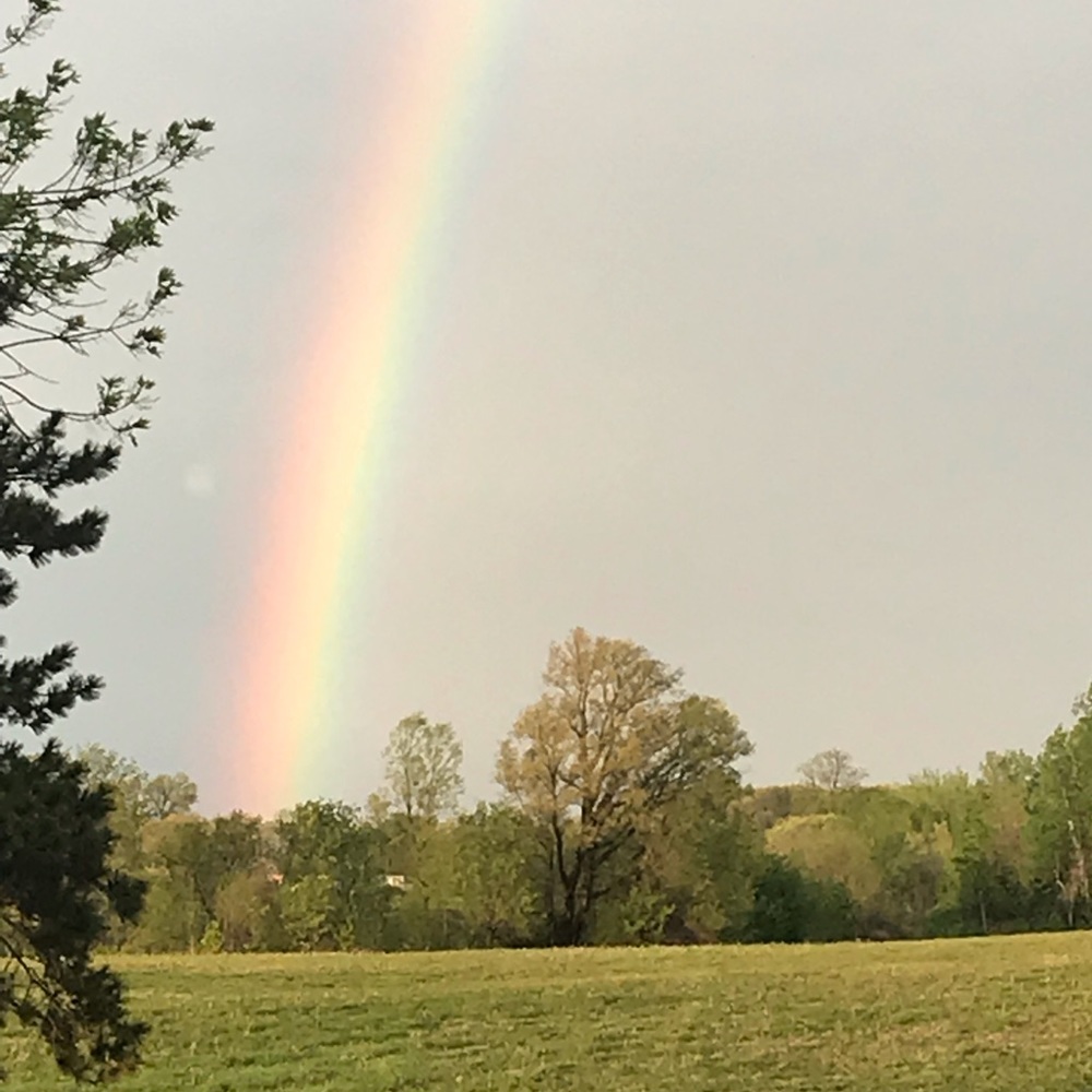 Meet your Posher, Leila